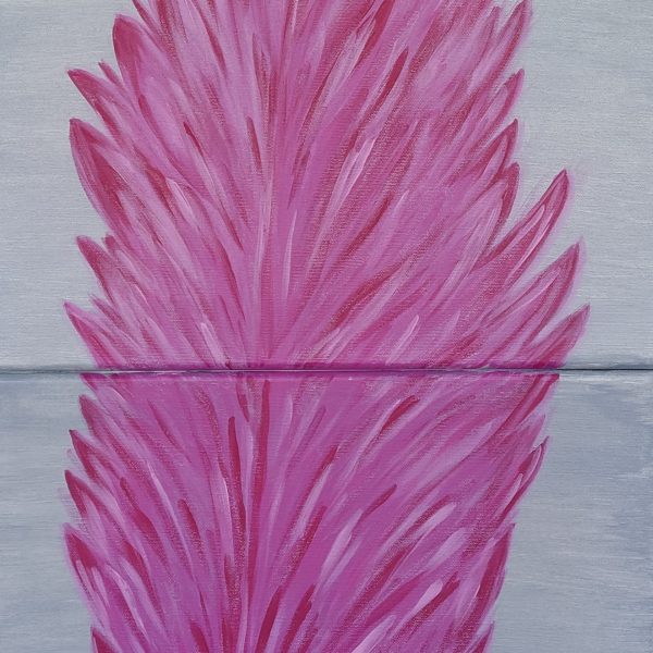  Pink feather