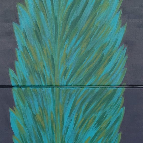 Peacock feather
